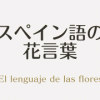 スペイン語の花言葉 El lenguaje de las flores | スペイン語と日本語の花の名前と花